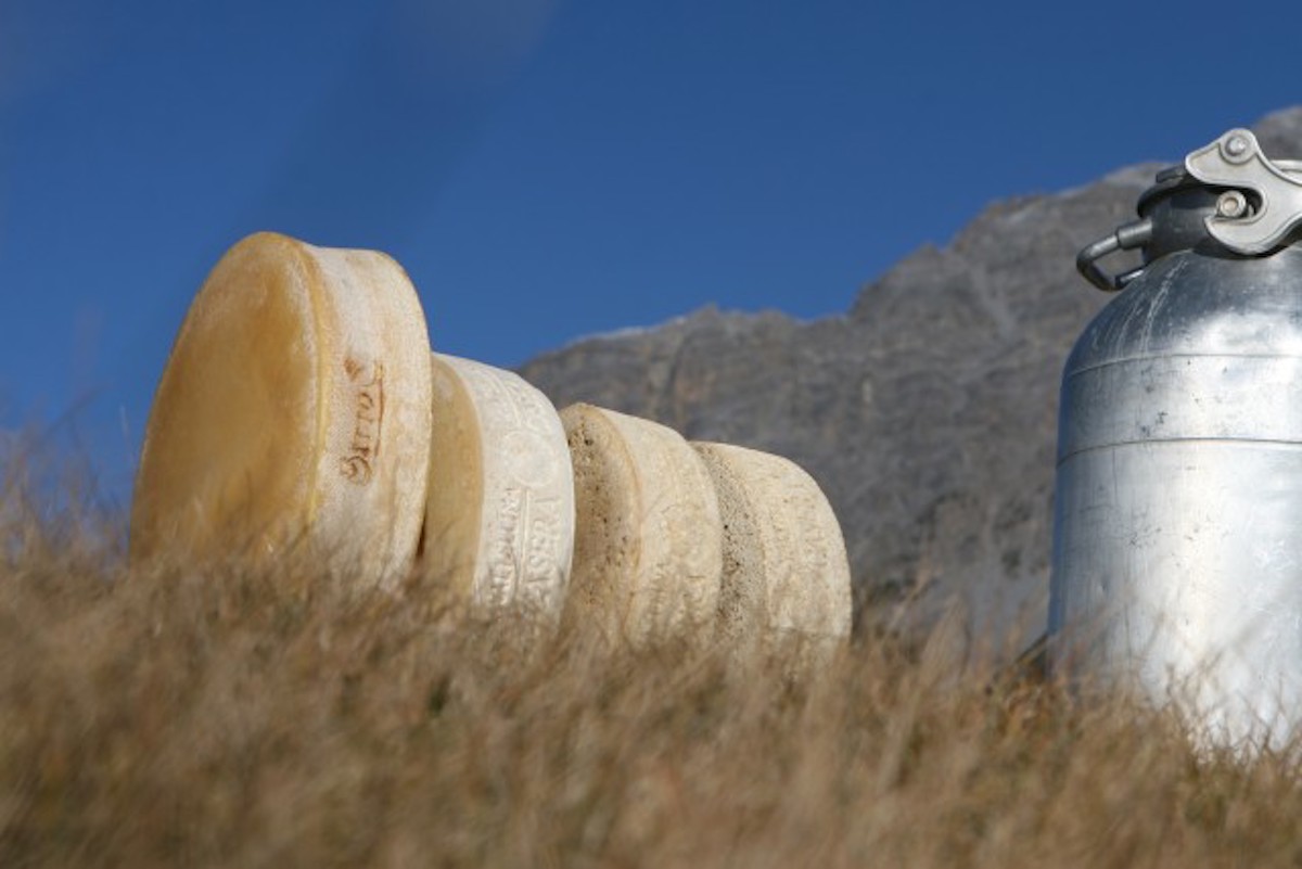 A Chiuro l'antica sapienza valtellinese della latteria